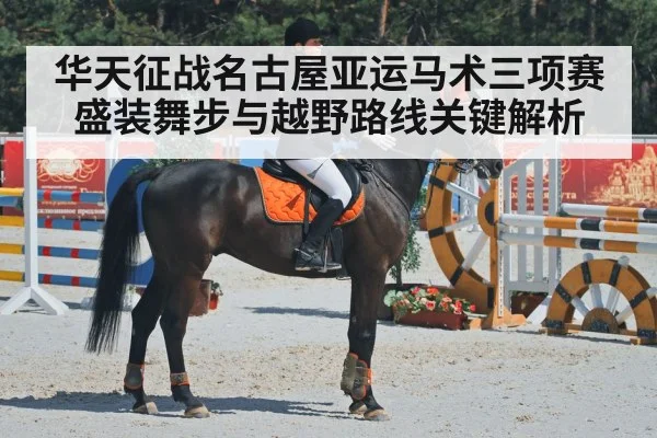 华天征战名古屋亚运马术三项赛 盛装舞步与越野路线关键解析